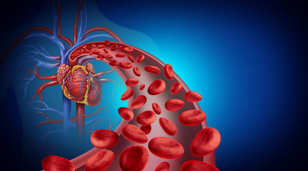 How Liquid CoQ10 Can Benefit Your Heart Health and Cardiovascular System