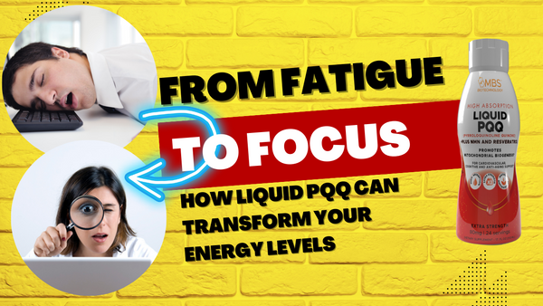 From Fatigue to Focus: How Liquid PQQ Can Transform Your Energy Levels