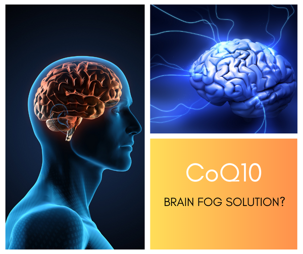 CoQ10 and Brain Fog: How This Antioxidant Can Improve Mental Clarity