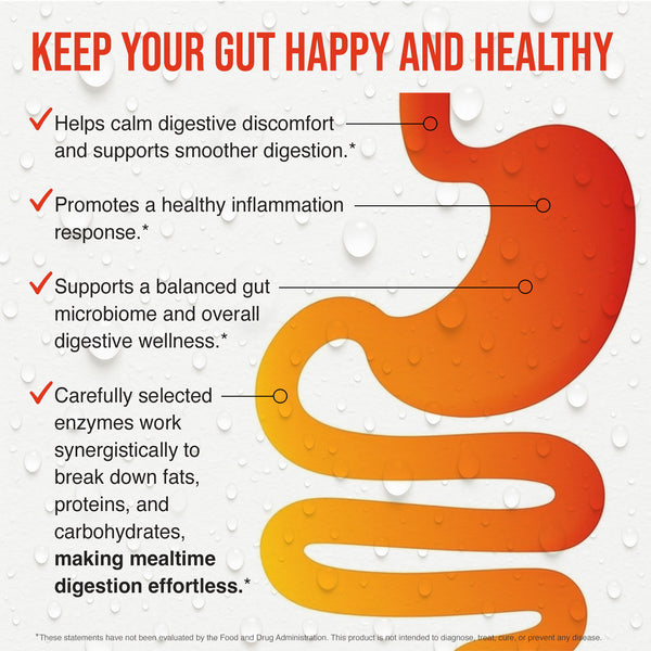 Advanced Liquid Digestion