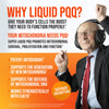 Super PQQ Liquid